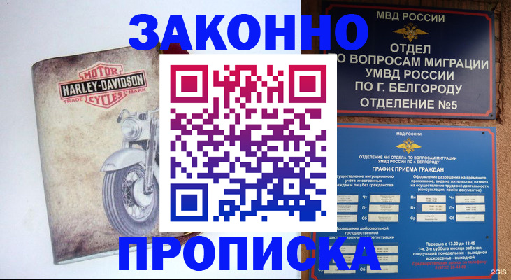 прописка для школы в Зверево
